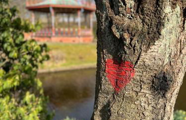 2025 Award Winner Liverpool Peach House - 4 Bedrooms - Foto 29