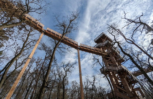 Cosy Apartment in Bad Camberg - Foto 32