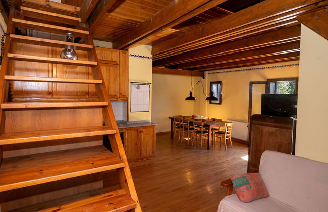 Herbasabina - Foto 32