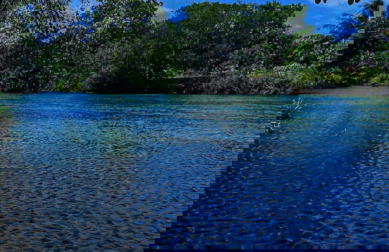 River Paradise Safari House with Cooking Class - Photo 32