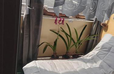 Wohnung 416, Am Kurpark 3, 38700 Braunlage - Foto 36