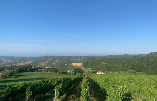 Tra borghi e mare - Ripatransone - Foto 6