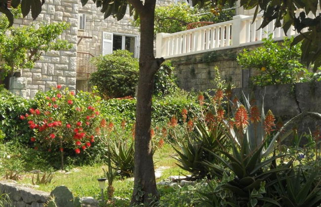 Apartment Plaza - Foto 25