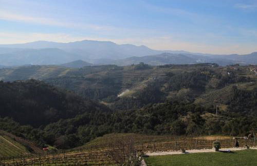 Quinta da Corujeira - Photo 67