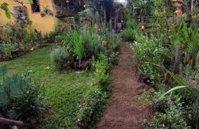 Diamantina, Curralinho Extração - Foto 54