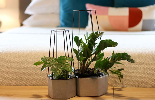 Stellar Suites - Foto 56