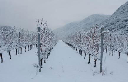 Ferienwohnung Im Bachtal - Foto 62