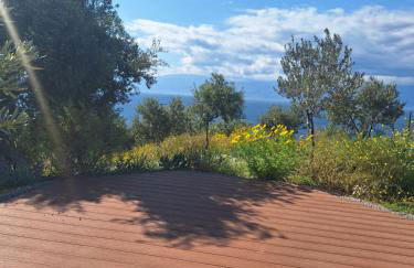 Physis Fokida - Foto 8