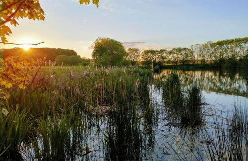 Gemütliches Blockhaus am Wald mit großem Garten - Foto 30