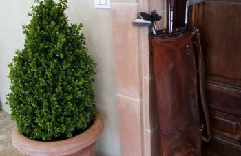 Podere Battegone - Foto 8