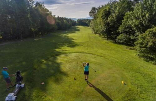 Massanutten Resort - Foto 55