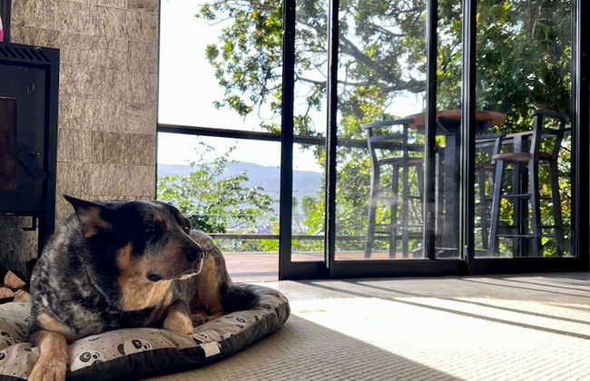 Casa Buda - Garopaba - SC - Foto 30