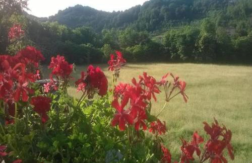 Holiday Home in Canossa With Swimming Pool, Garden, Barbecue - Foto 26