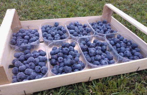 Agriturismo Tenuta Valletti. - Foto 59