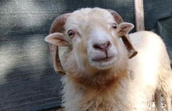 Cottoni Natural Space - Foto 29