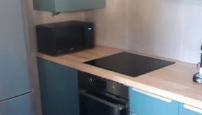 Splendide T2 face à la mer, terrasse, wifi - Foto 4, stove, pet friendly, minibar