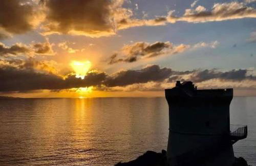 LOCATION CORSE - Foto 22