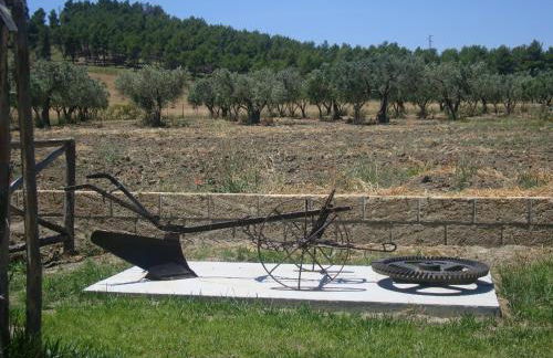 Agriturismo Fieri - Foto 67