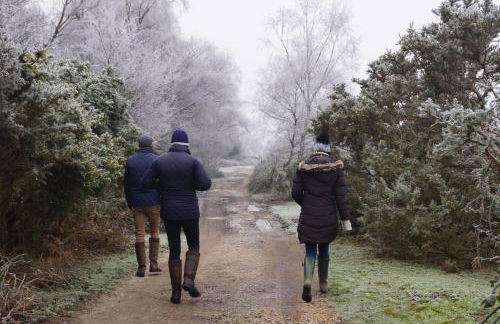 Corner Cottage - character, charm, great location. - Foto 76