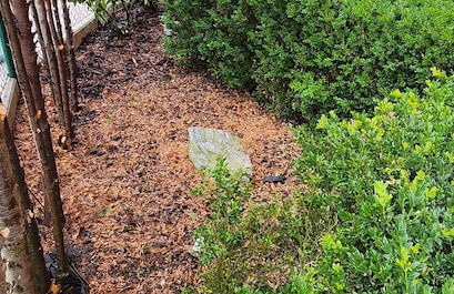 Bastien Studio near Airport - Foto 46