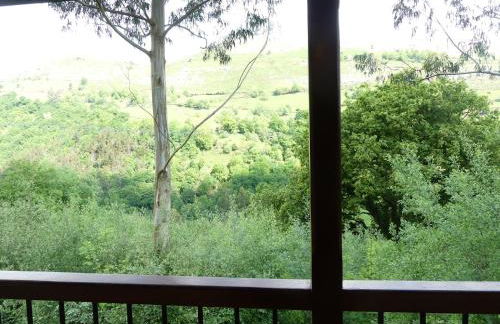 Cabaña pasiega Las Lugas - Foto 18