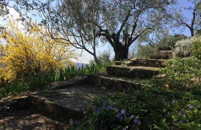 Villa Bella - Foto 27