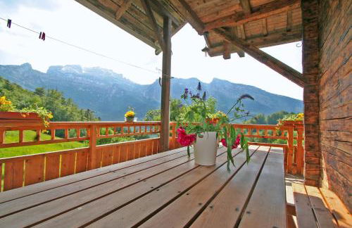 Les Jonquilles - Foto 13