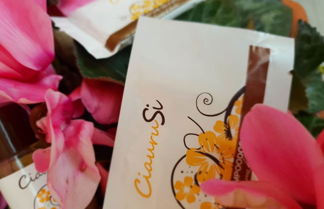 Le Terre di San Domenico - Foto 10