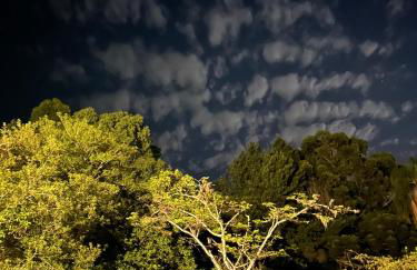 Chácara das Flores - Foto 58