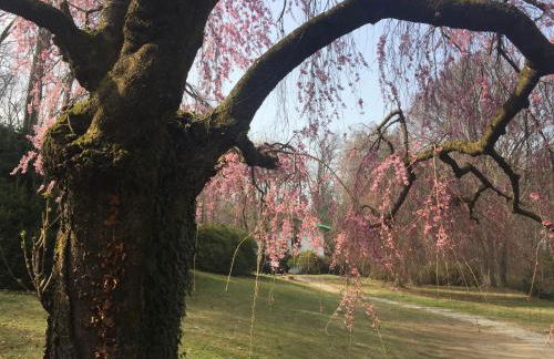 Brusisch 1638 Cottage - Foto 30