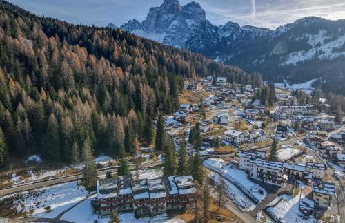 Petit Cirsio - Foto 1