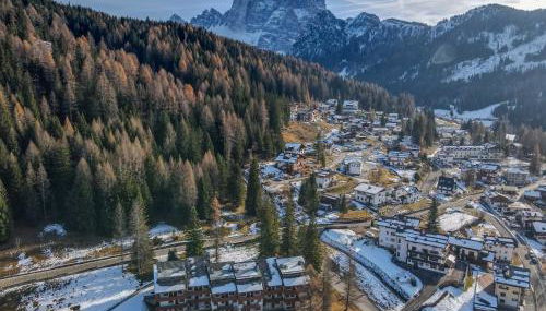 Petit Cirsio - Foto 1