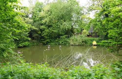 Gästewohnung Hardinghaus am Teich - Foto 6