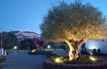 Vistamare - Photo 23