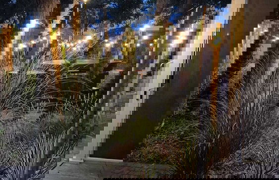 Casa Sallandia met Outdoor Wellness - Foto 1