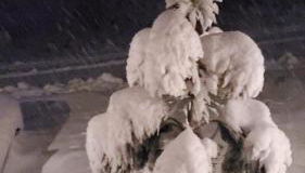 Pine Mountain Club Family Vacation House - Foto 2