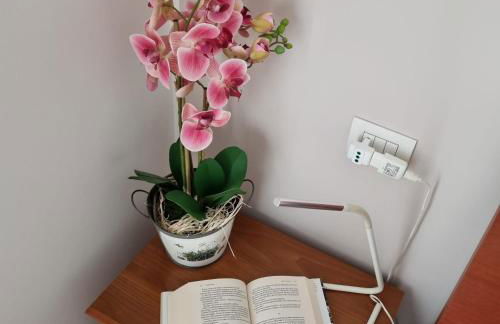 Ca' Massima, il cuore a Monza - Foto 9