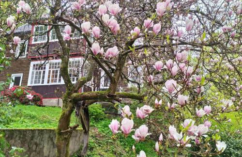 Haus am Wald Zorge 16+ Gäste - Foto 24