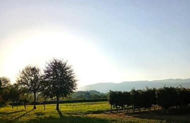 Relax nelle colline del Prosecco - Foto 5