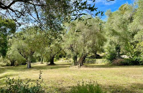 Domaine de Bramafam - Foto 12