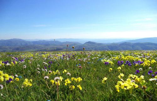 Alba dei due Soli, Appartamenti - Photo 18
