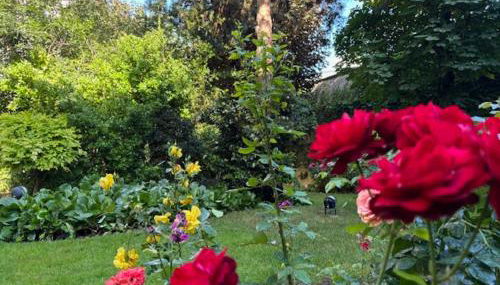 L'écrin du 12- Studio élégant sur jardin avec parking - Foto 4