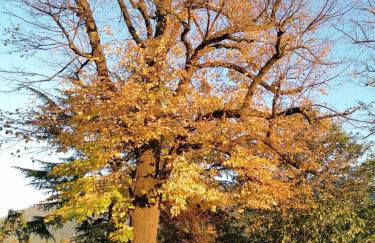 Casa della Gioia - Foto 58