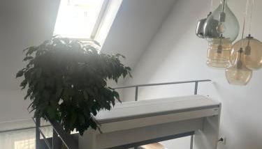 Executive Maisonette Penthouse Loft, Rooftop Pool, Central Hannover and Direct Messe Connection - Foto 5