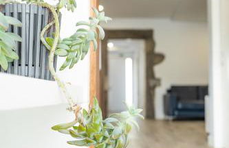 Viriato's House - Photo 26