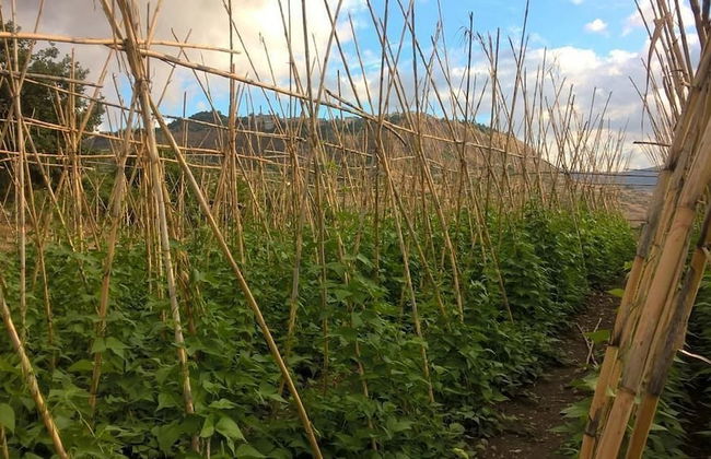 Agriturismo Cuca - Photo 14