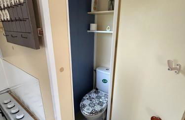 Salamandre - Foto 21