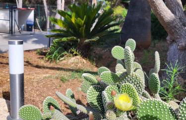 Villa Marna Bianca - Foto 42