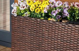 Monte da Tojeirinha - Foto 70