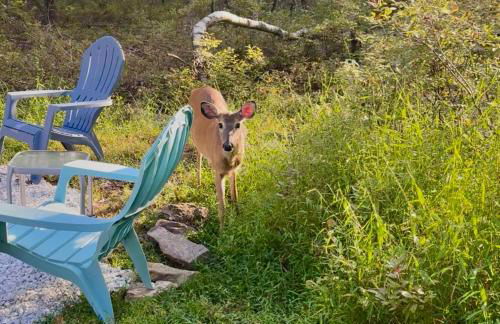 WOW!! Ultimate Pocono Retreat Hot Tub, Game Room, Fire Pit, Near Lakes & Hiking! - Foto 56